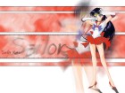 Sailor Moon Wallpapers #8